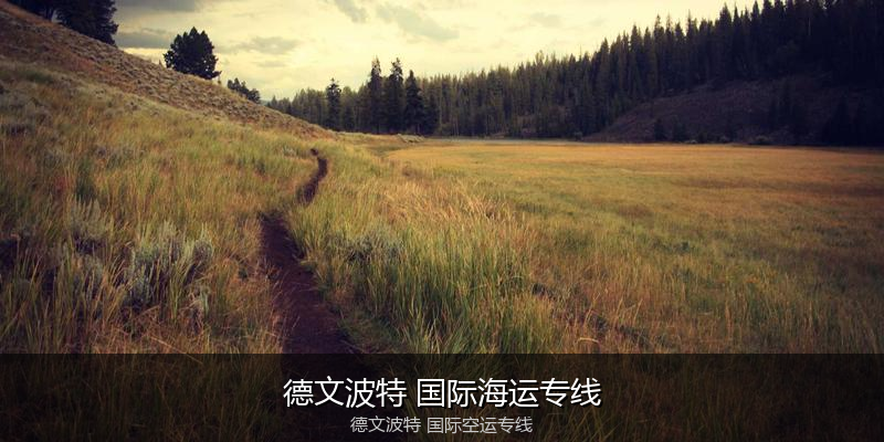中国出口澳大利亚海运清关全攻略